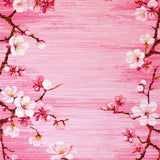 Ultra Soft Area Rug, Non Slip, Stain Resistant, Washable Area Rugs for Living Room, Bedroom, Tranquil Soft Color Palette(Pink)