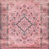 Ultra Soft Area Rug, Non Slip, Stain Resistant, Washable Area Rugs for Living Room, Bedroom, Artistic Earthy Toned Floral Design(Pink)
