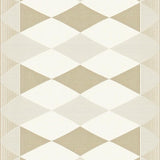 Luxurious Textured Neutral Design(Beige)