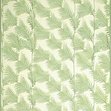 Cozy Pastel Shag Design(Beige)