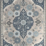 Ultra Soft Area Rug, Non Slip, Stain Resistant, Washable Area Rugs for Living Room, Bedroom, Oriental Style Bedroom Small Rug for Pets(Gray)