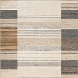 Ultra Soft Area Rug, Non Slip, Stain Resistant, Washable Area Rugs for Living Room, Bedroom, Chic Layered Design with Fringe(Beige)