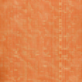 Ultra Soft Area Rug, Non Slip, Stain Resistant, Washable Area Rugs for Living Room, Bedroom, Elegant Minimalist Shag Design(Orange)