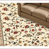 Ultra Soft Area Rug, Non Slip, Stain Resistant, Washable Area Rugs for Living Room, Bedroom, Vintage Floral Light Brown Living Room Rug(Beige)