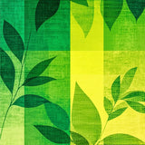 Artful Modern Plush Canvas(Green)