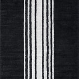 Ultra Soft Area Rug, Non Slip, Stain Resistant, Washable Area Rugs for Living Room, Bedroom, Dramatic Monochrome Zebra Print Rug With Bold Stripe Pattern for Vibrant Decor(Black)