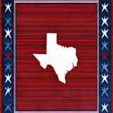 Ultra Soft Area Rug, Non Slip, Stain Resistant, Washable Area Rugs for Living Room, Bedroom, Cozy Textured Texas Home Emblem(Red)