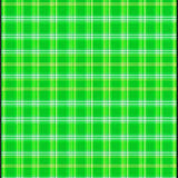 Distinctive Luxurious Patterned(Green)