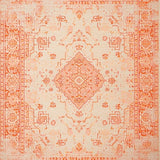 Ultra Soft Area Rug, Non Slip, Stain Resistant, Washable Area Rugs for Living Room, Bedroom, Earthy Tone Curvilinear Patterns(Orange)