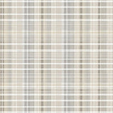 Ultra Soft Area Rug, Non Slip, Stain Resistant, Washable Area Rugs for Living Room, Bedroom, Sophisticated Beige Textured Pattern(Beige)