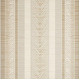 Contemporary Brown Palette(Beige)