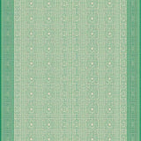 Ultra Soft Area Rug, Non Slip, Stain Resistant, Washable Area Rugs for Living Room, Bedroom, Aura Reversible Area for RV & Patio Green Beige(Green)