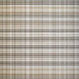 Elegant Transitional Textile Design(Beige)