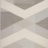 Luxurious Shag Texture Minimalist Appeal(Gray)