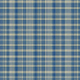 Elegant Transitional Plaid Aesthetic(Blue)