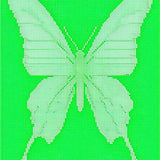 Lively Modern Wildlife Illustration(Green)