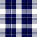 Ultra Soft Area Rug, Non Slip, Stain Resistant, Washable Area Rugs for Living Room, Bedroom, Charming Plaid Neutral Area(Blue)