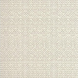 Ultra Soft Area Rug, Non Slip, Stain Resistant, Washable Area Rugs for Living Room, Bedroom, Versatile Scraper Floor Lantern Beige Entry Area Stable(Beige)