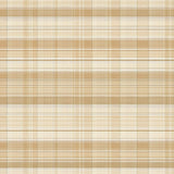 Artistic Rustic Brown Texture(Beige)