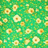 Ultra Soft Area Rug, Non Slip, Stain Resistant, Washable Area Rugs for Living Room, Bedroom, Lively Nature-Inspired Modern Look(Green)