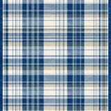 Classic Earth Toned Checker Design(Blue)