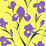 Contemporary Cheerful Bloom Design(Yellow)