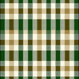 Trendy Green and Beige Checkered Look(Beige)