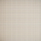 Chic Cozy Neutral Tones(Beige)