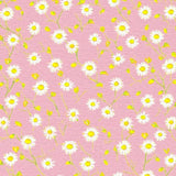 Lively Daisy Blossom Artwork(Pink)