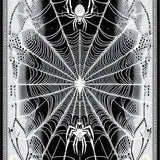 Chilling Classic Spider Web Design(Black)