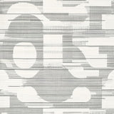 Ultra Soft Area Rug, Non Slip, Stain Resistant, Washable Area Rugs for Living Room, Bedroom, Modern Stripe Harmony Rug with Bold Linear Accent and Monochrome Geometric Flow(Gray)