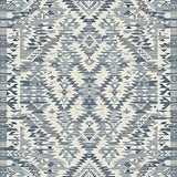 Ultra Soft Area Rug, Non Slip, Stain Resistant, Washable Area Rugs for Living Room, Bedroom, Sleek Monochrome Linear Design(Blue)