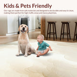 Ultra Soft Area Rug, Non Slip, Stain Resistant, Washable Area Rugs for Living Room, Bedroom, Ethereal Cloud Cream Boho Area With Artistic Neutral Tone Design(Beige)