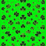 Cheerful Spring Themed Coir Mat(Green)