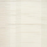 Ultra Soft Area Rug, Non Slip, Stain Resistant, Washable Area Rugs for Living Room, Bedroom, Sophisticated Minimalist Textured Layer(Beige)