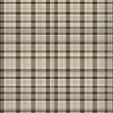 Cozy Warm Toned Lattice Design(Beige)