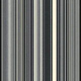 Dynamic Abstract Linear Artistry(Black)