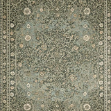 Ultra Soft Area Rug, Non Slip, Stain Resistant, Washable Area Rugs for Living Room, Bedroom, Distressed Dark Green Living Room Boho Rug(Gray)