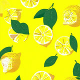 Ultra Soft Area Rug, Non Slip, Stain Resistant, Washable Area Rugs for Living Room, Bedroom, Sunny Citrus Themed Decor(Yellow)