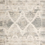 Ultra Soft Area Rug, Non Slip, Stain Resistant, Washable Area Rugs for Living Room, Bedroom, Boho Chic Area Non Slip Distressed Look Beige(Gray)