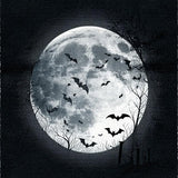 Gothic Black Abstract Motif(Black)