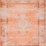 Ultra Soft Area Rug, Non Slip, Stain Resistant, Washable Area Rugs for Living Room, Bedroom, Classic Mediterranean Textured Appeal(Orange)