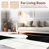 Ultra Soft Area Rug, Non Slip, Stain Resistant, Washable Area Rugs for Living Room, Bedroom, Partial Abstract Line Composition with Intersecting Arc Segments(Black)