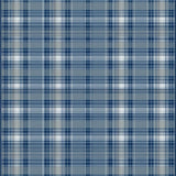 Warm Earthy Plaid Chic(Blue)