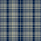 Elegant Vintage Striped Design(Blue)