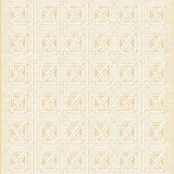 Ultra Soft Area Rug, Non Slip, Stain Resistant, Washable Area Rugs for Living Room, Bedroom, Woven Lattice(Beige)