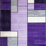Ultra Soft Area Rug, Non Slip, Stain Resistant, Washable Area Rugs for Living Room, Bedroom, Elegant Plush Contemporary Style(Purple)