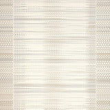 Ultra Soft Area Rug, Non Slip, Stain Resistant, Washable Area Rugs for Living Room, Bedroom, Luxurious Creamy Shag Pattern(Beige)