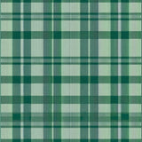 Lush Green Buffalo Check Elegance(Green)