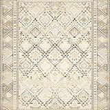 Ultra Soft Area Rug, Non Slip, Stain Resistant, Washable Area Rugs for Living Room, Bedroom, Rustic Warm Toned Geometric Theme(Beige)